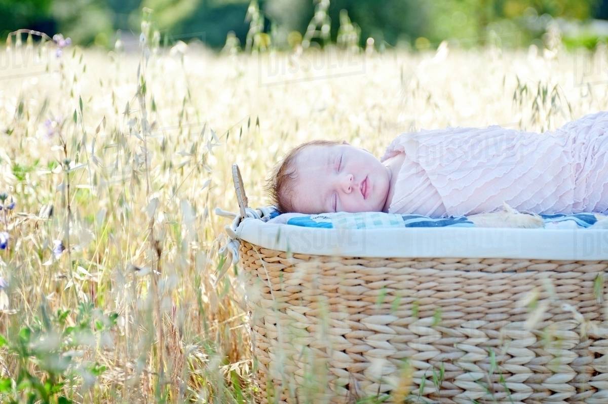 Newborn baby girl sleeping in moses basket in field Stock Photo Dissolve