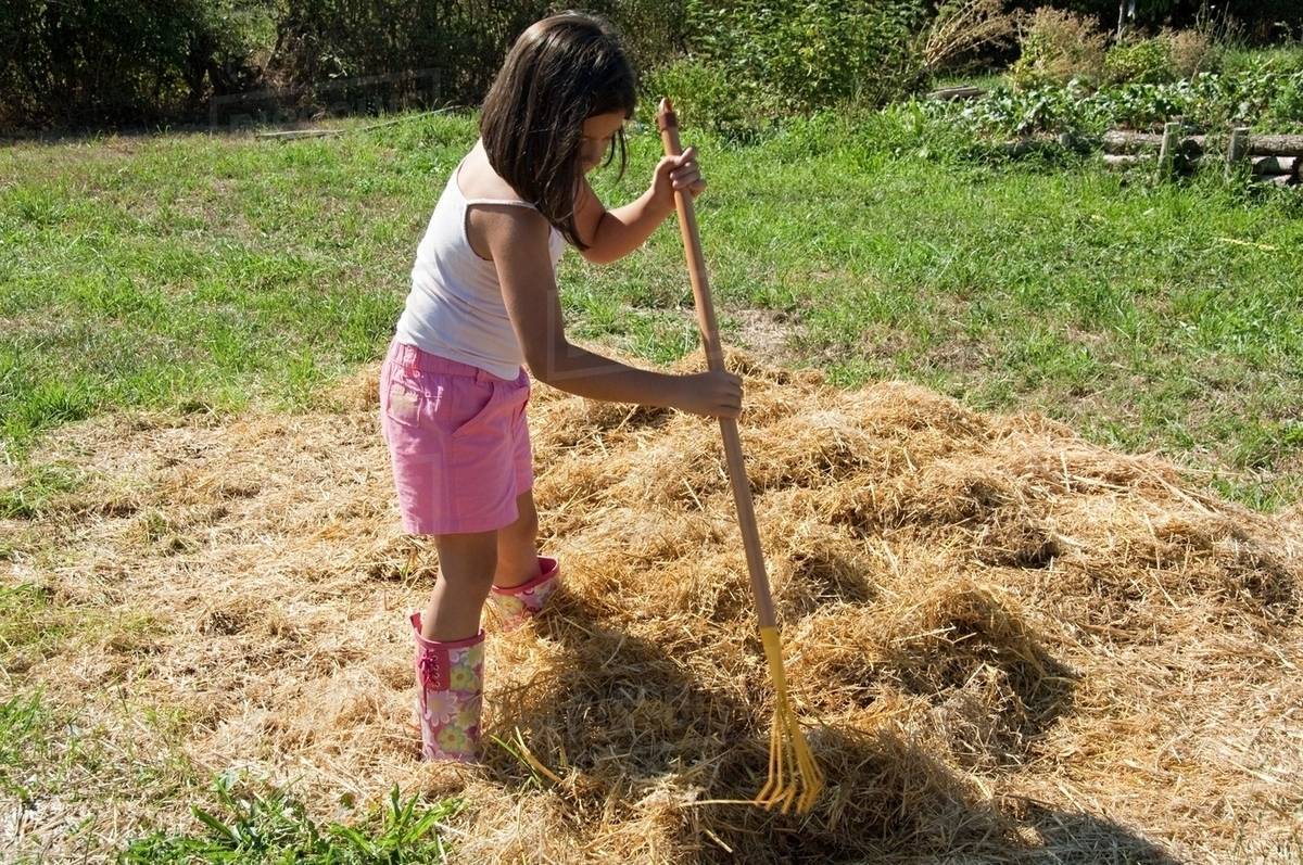 What Does Raking Grass Do at Clint Dial blog
