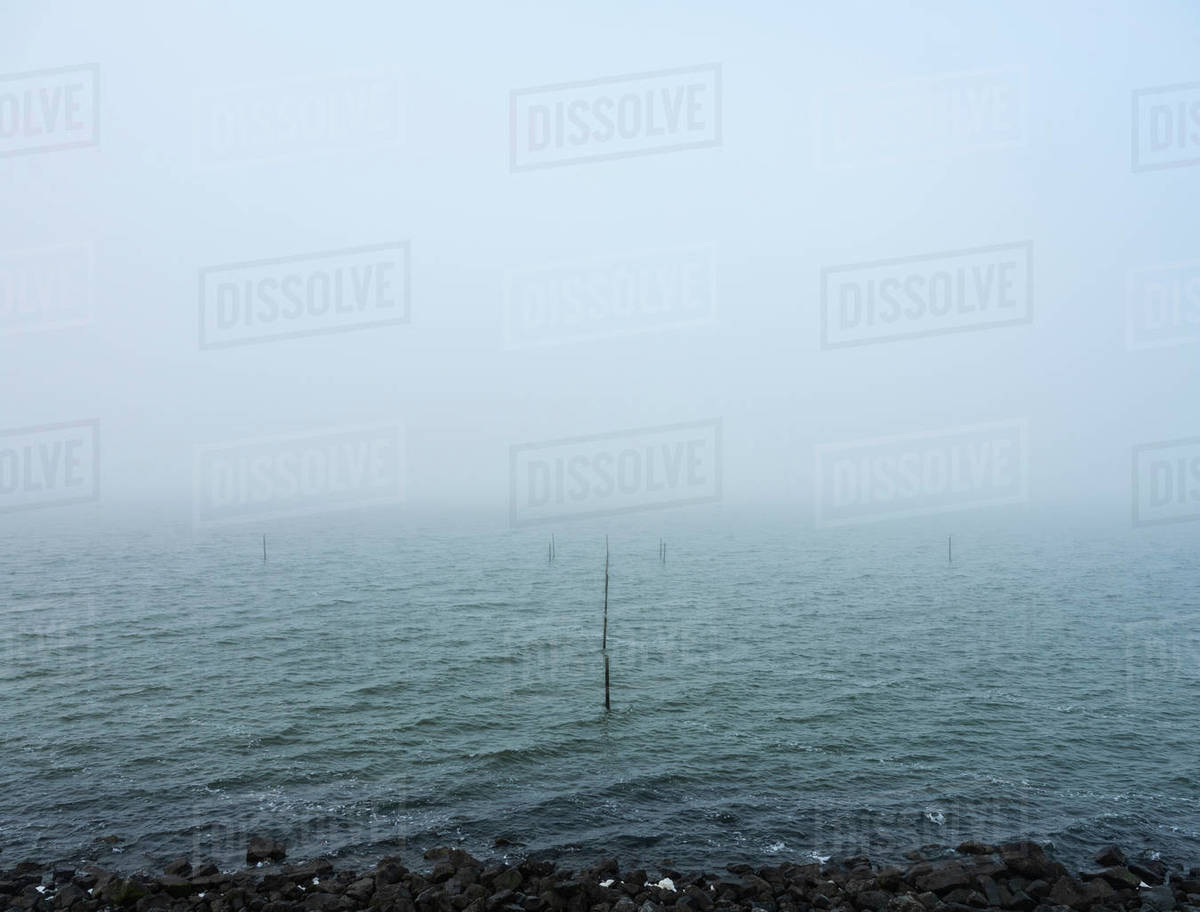 Netherlands, Fishing nets attached to wooden poles in Markermeer lake