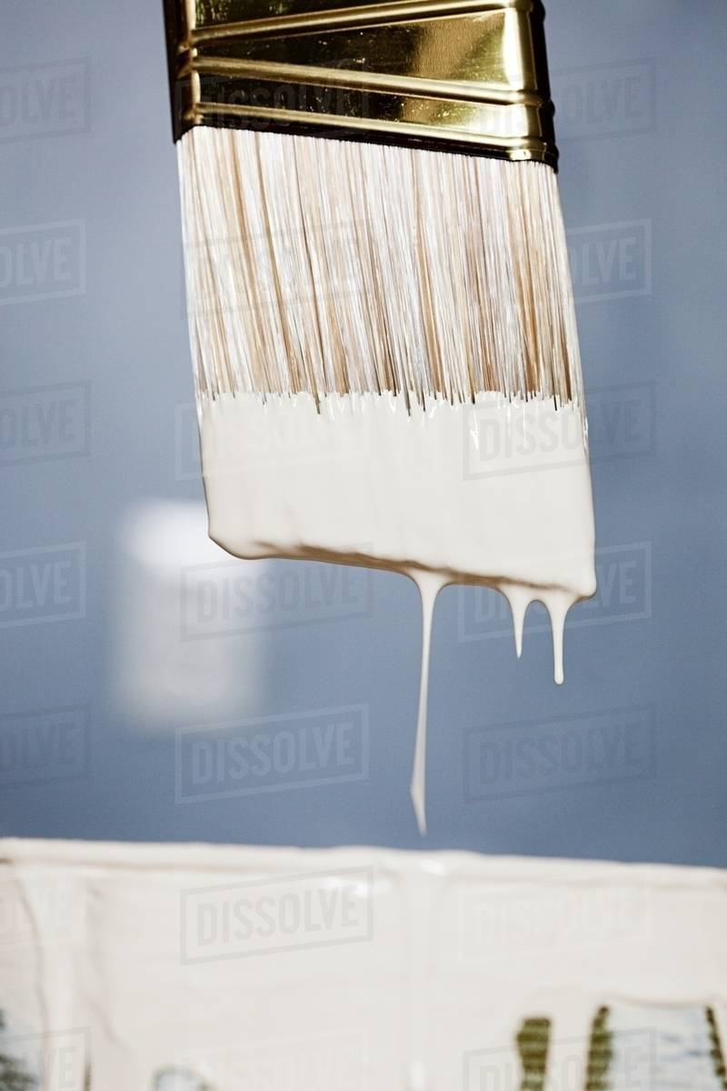Paintbrush with white paint dripping Stock Photo Dissolve