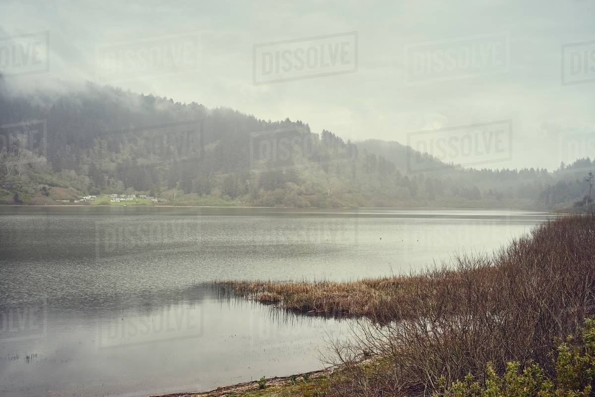 Freshwater Lagoon California Weather Overview