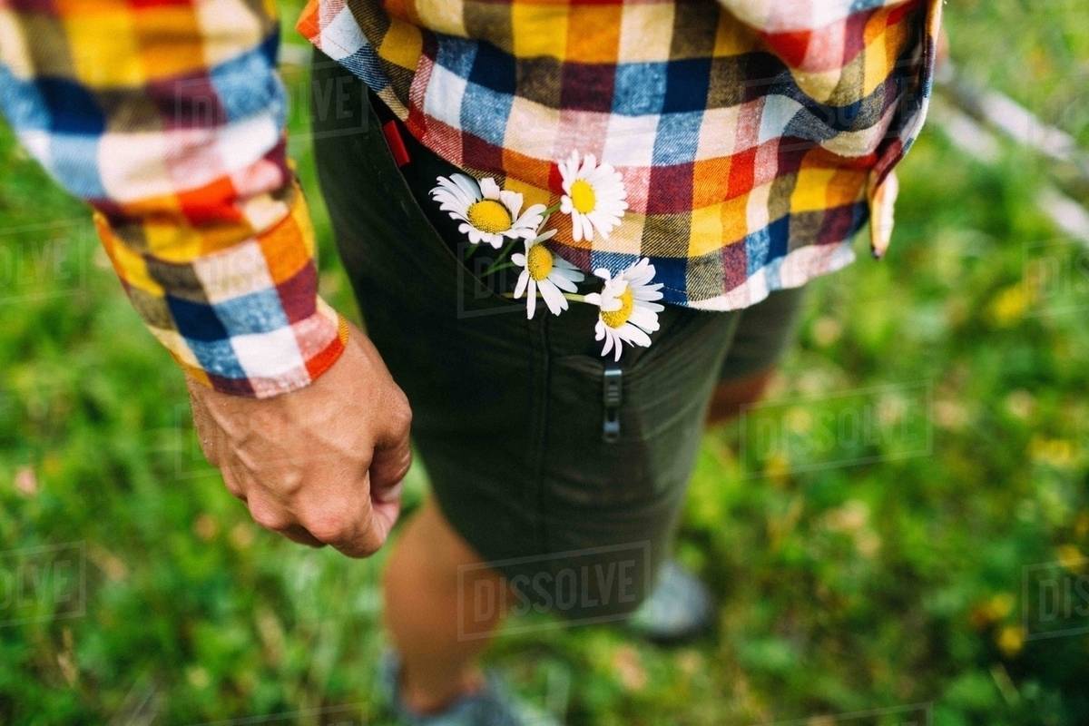 High angle view of mid adult man wearing checked shirt with daisies in