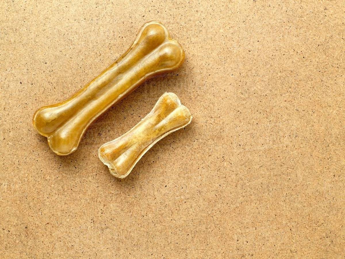 A large and small dog bone Stock Photo Dissolve