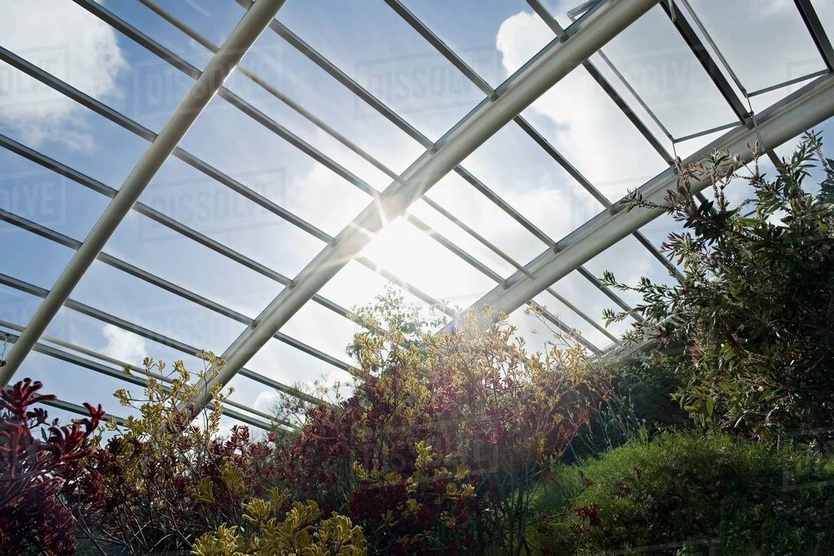 Sunlight through large greenhouse Stock Photo Dissolve