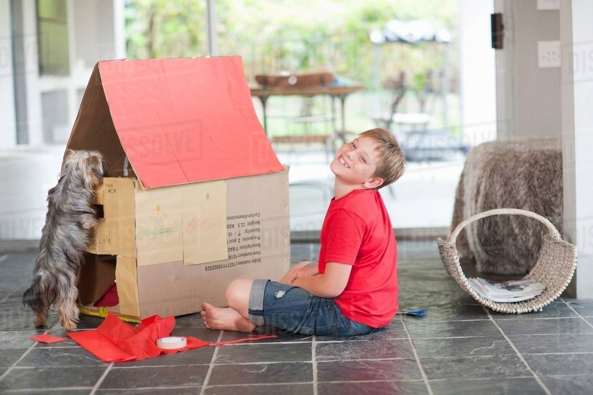 Boy building kennel for his dog Stock Photo Dissolve