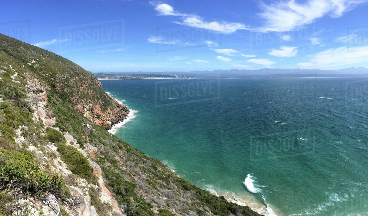 Plettenberg bay singles
