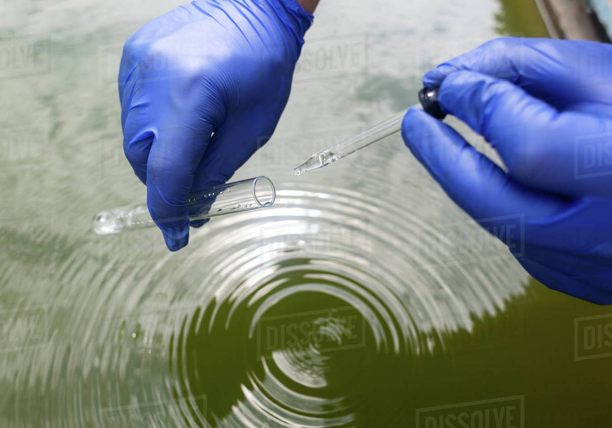 Water sample. Treatment facilities. Quality control of water that has