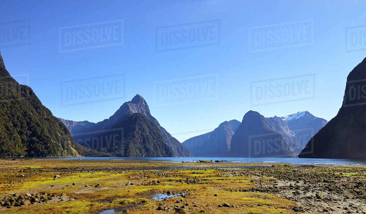 View of milford sound in new zealand's south island Stock Photo Dissolve