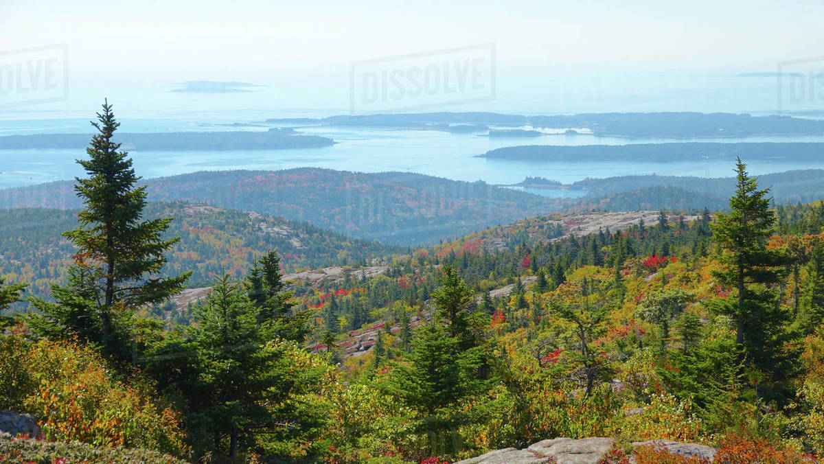 AERIAL Flying over the colorful woods in the breathtaking National