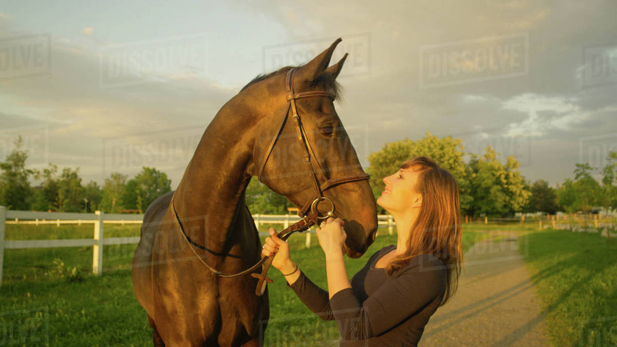 CLOSE UP Cheerful young woman holds her horse's reins and looks at it