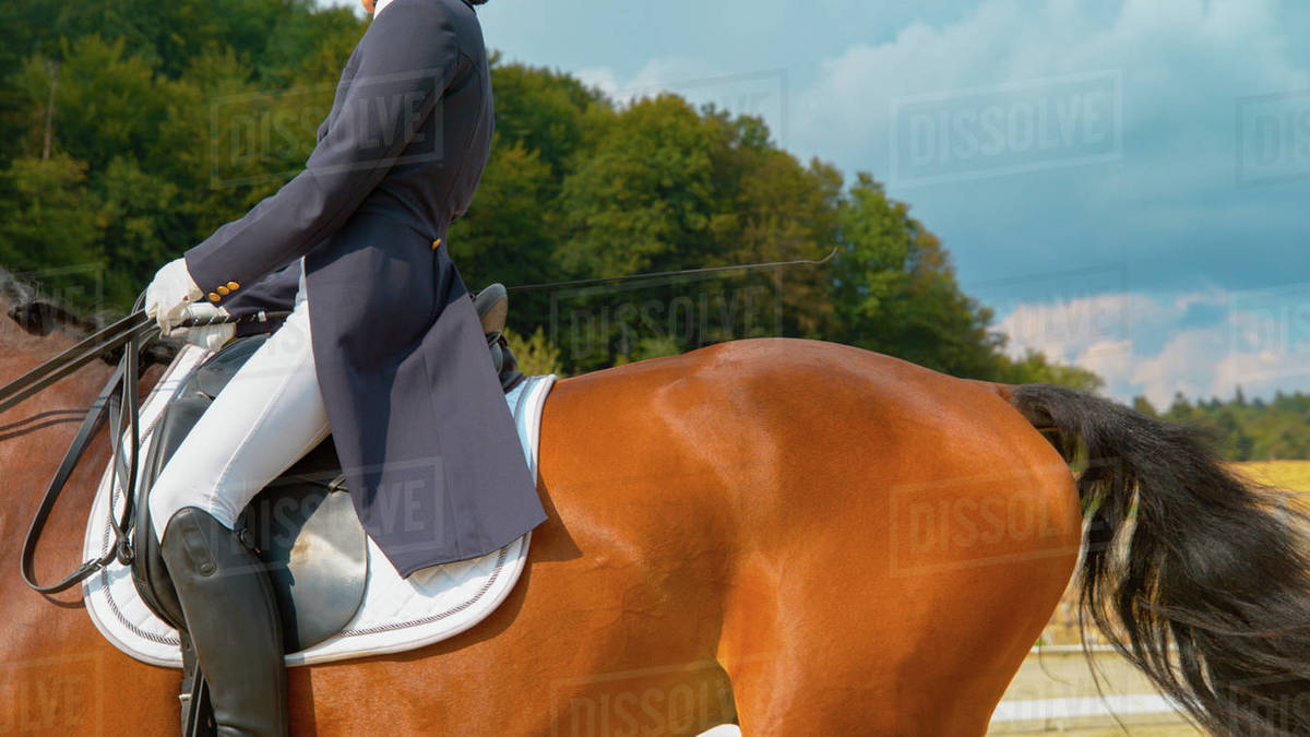 CLOSE UP: Female English rider in a blue frock gallops on manege on ...