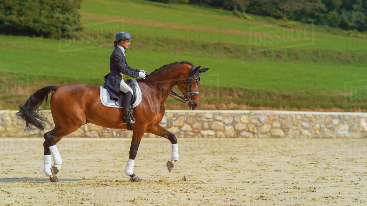 English rider on horseback riding trot around the sandy arena in the