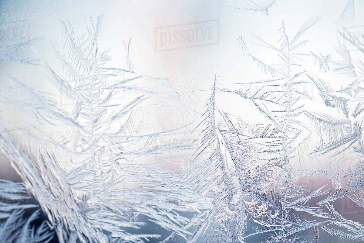 Ice Crystals On Window Stock Photo Dissolve