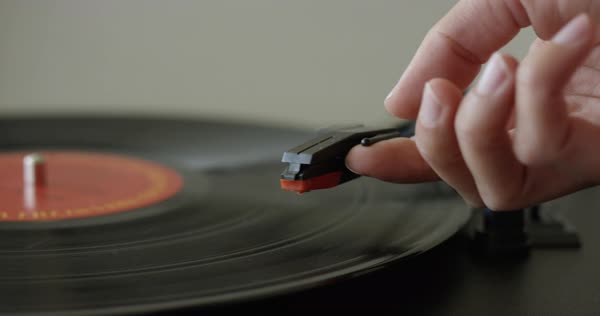 Woman Flips Through Vintage Vinyl Records At Stock Video Hand Places Retro Record Player Needle Onto Vinyl Royalty Free Stock Video