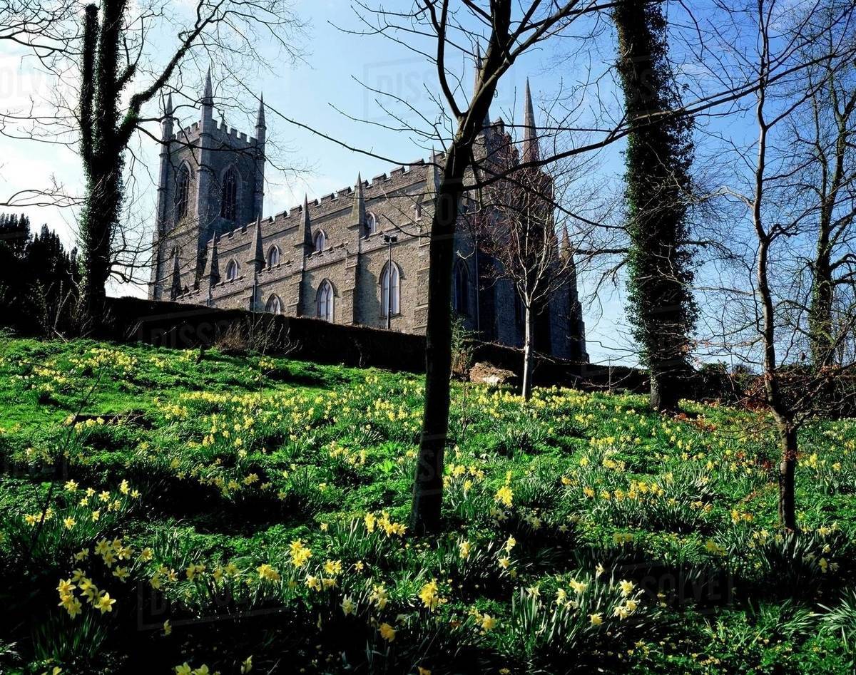 Low Angle View Of A Cathedral, Down Cathedral, Downpatrick, County Down