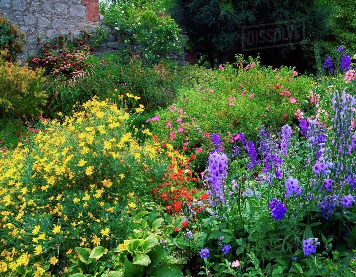 Fernhill Gardens, Co Dublin, Ireland; Herbaceous Plants In The Kitchen