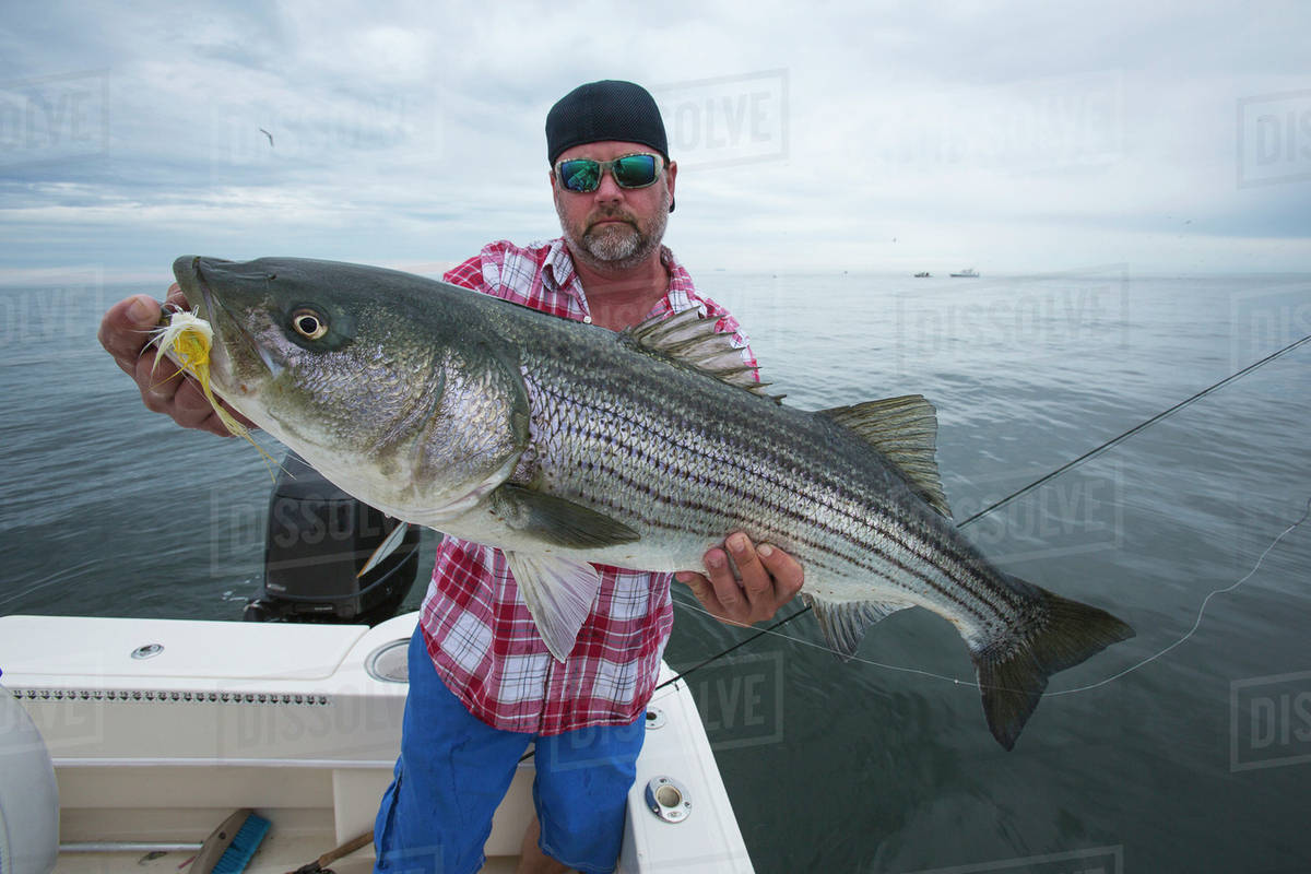 Fisherman holding striper fish in the Boston harbour; Boston