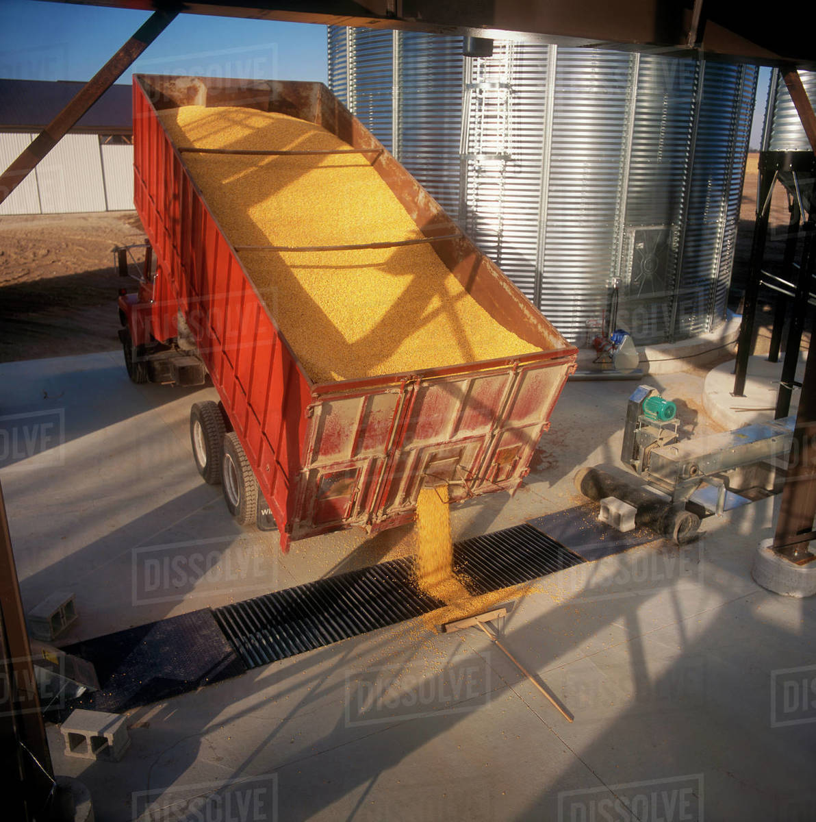 Agriculture A grain truck unloads corn at a grain elevator / Ontario