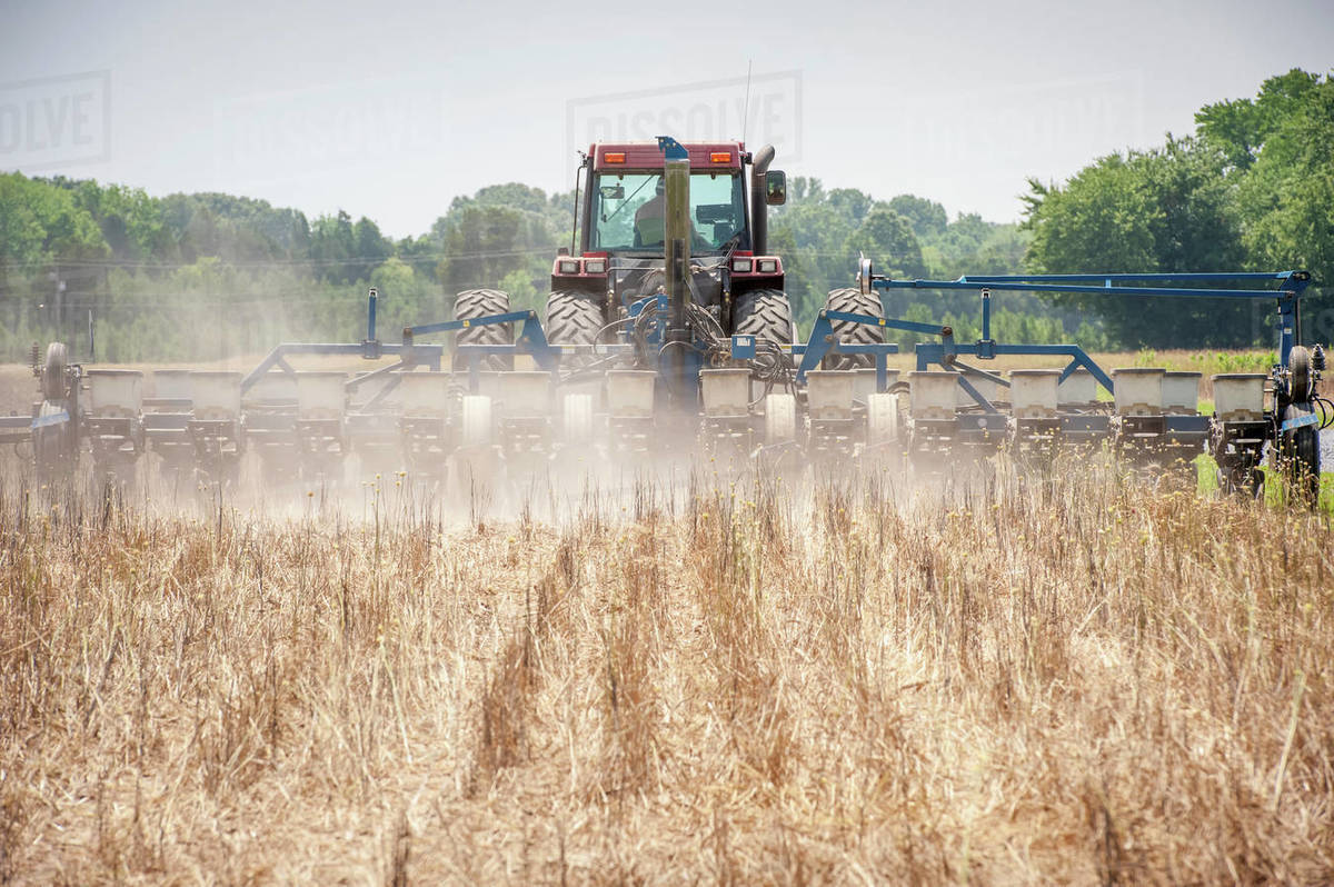 Planting NoTill Wheat; Tunis Mills, Maryland, United States Of America