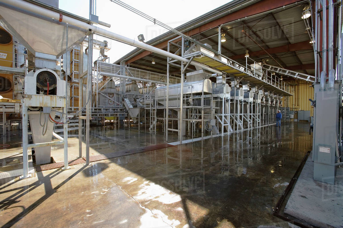 Agriculture Nut dryers at a pistachio processing facility / near