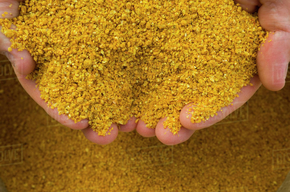 Agriculture Ethanol production plant. A technicians hands hold a