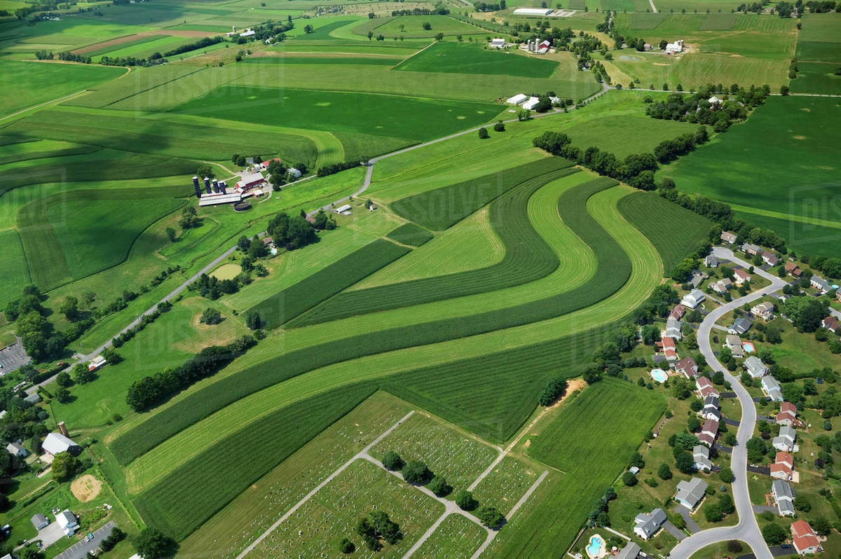 Agriculture Aerial view of farmsteads and fields utilizing strip
