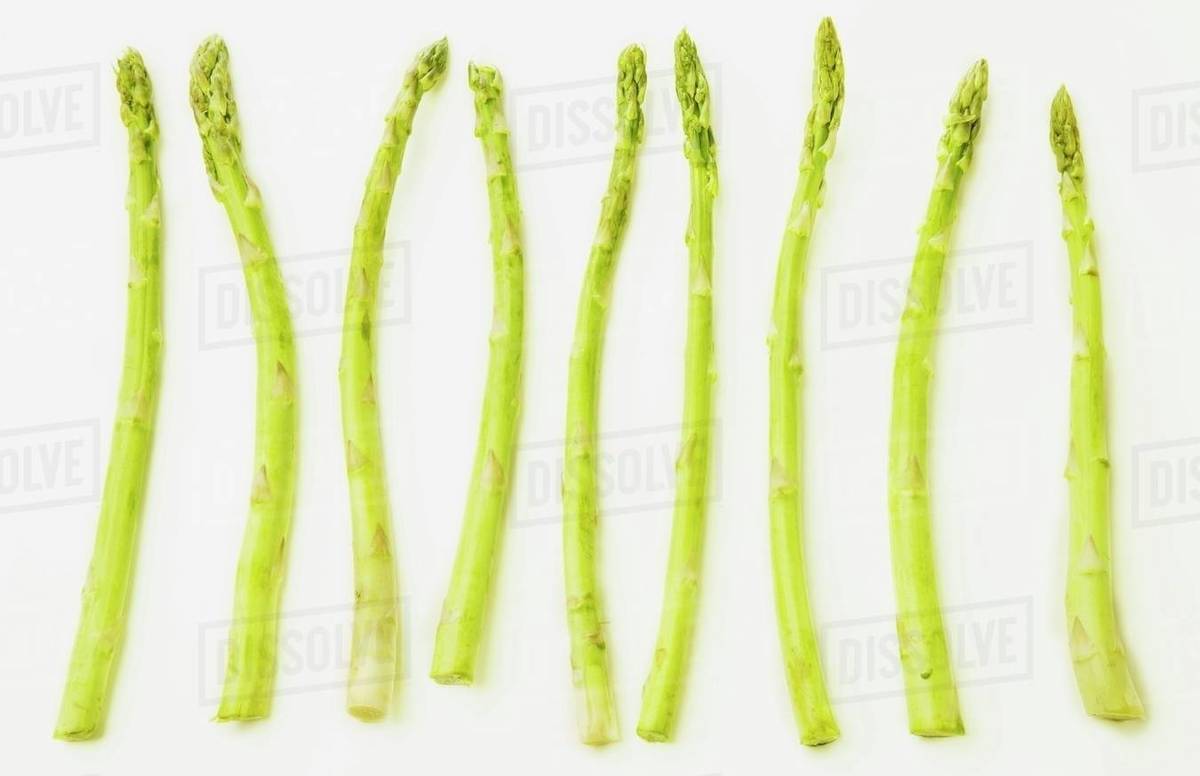 Group Of Asparagus Stock Photo Dissolve