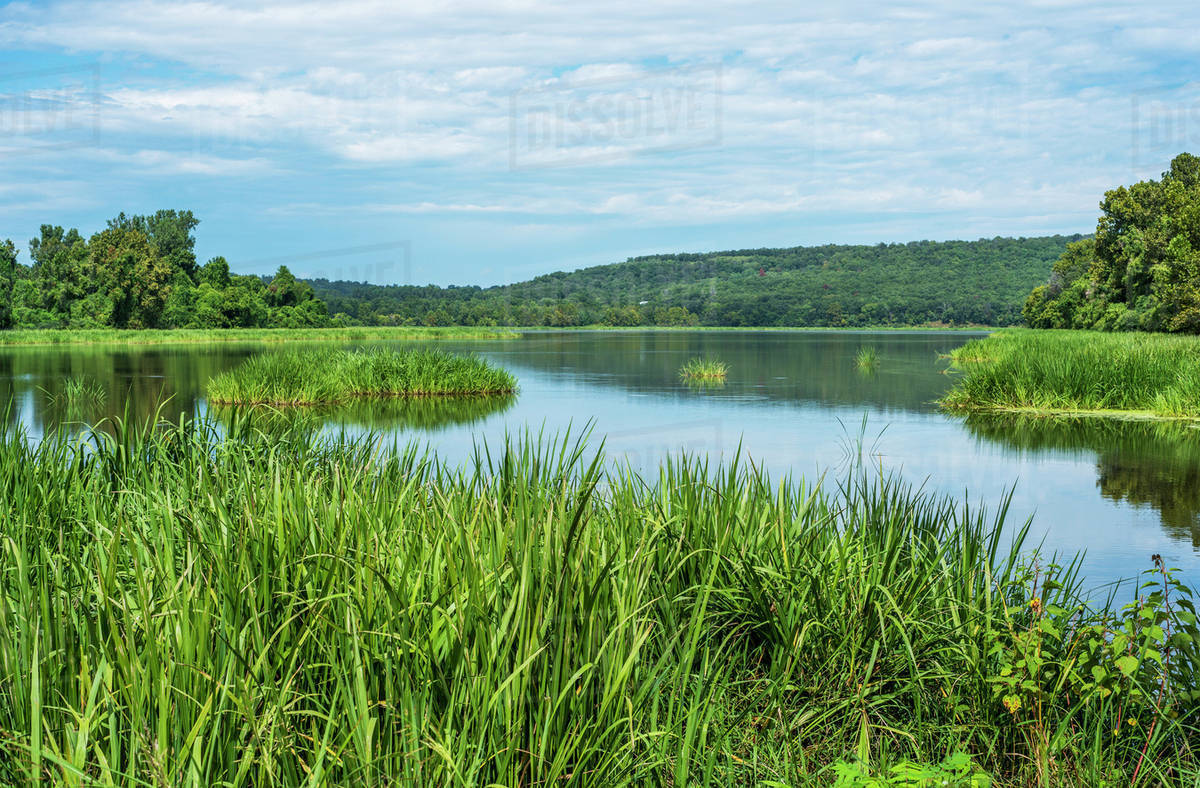 Sally Jones Lake, Sequoyah National Wildlife Refuge; Vian, Oklahoma