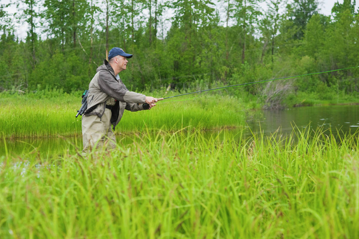 Man Fly Fishing For King Salmon In A Backcountry River, Southcentral Alaska, Summer Stock