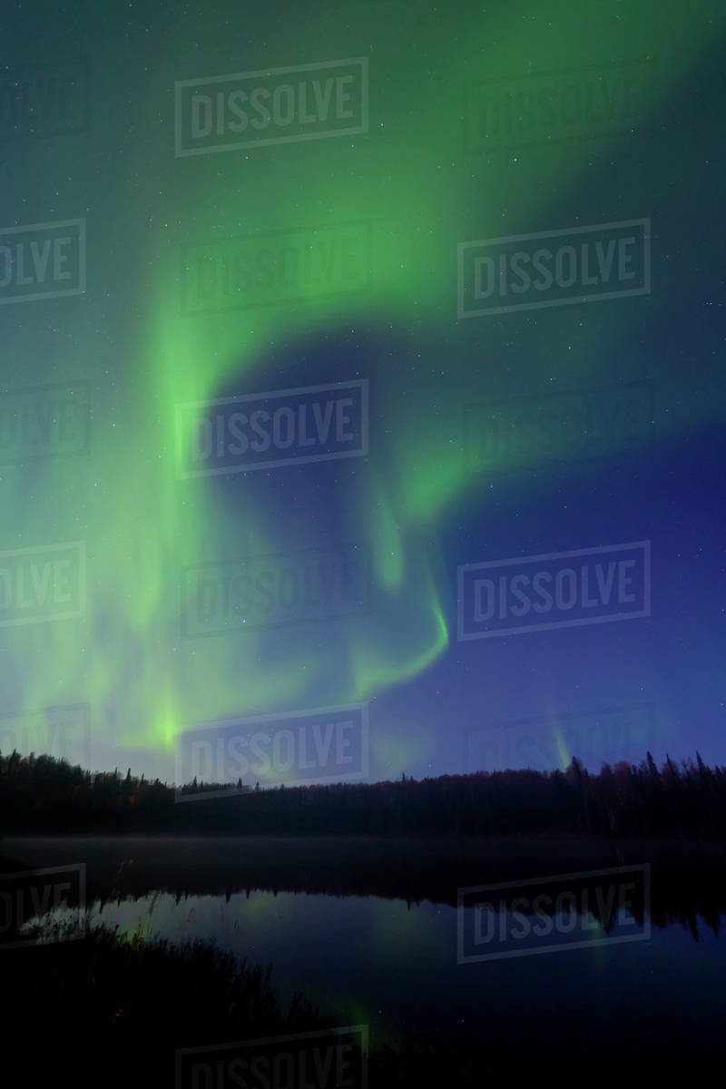Aurora Borealis Over South Rolly Lake At Nancy Lake State Recreation