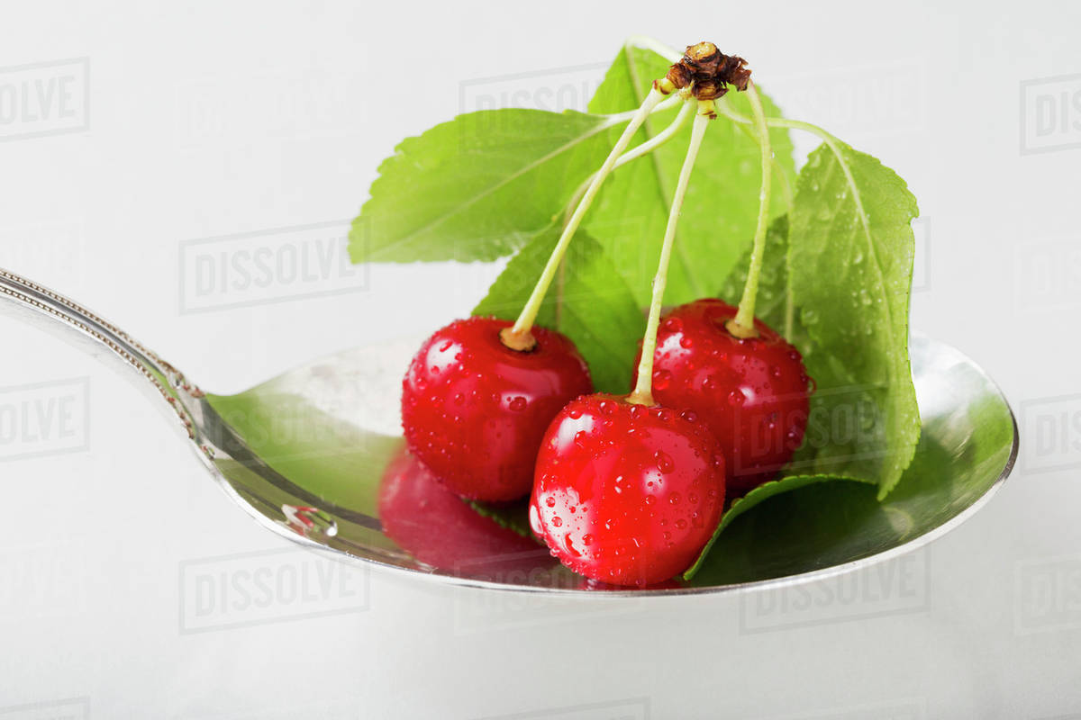 Close up of spoon full of cherries with water droplets and leaves on a