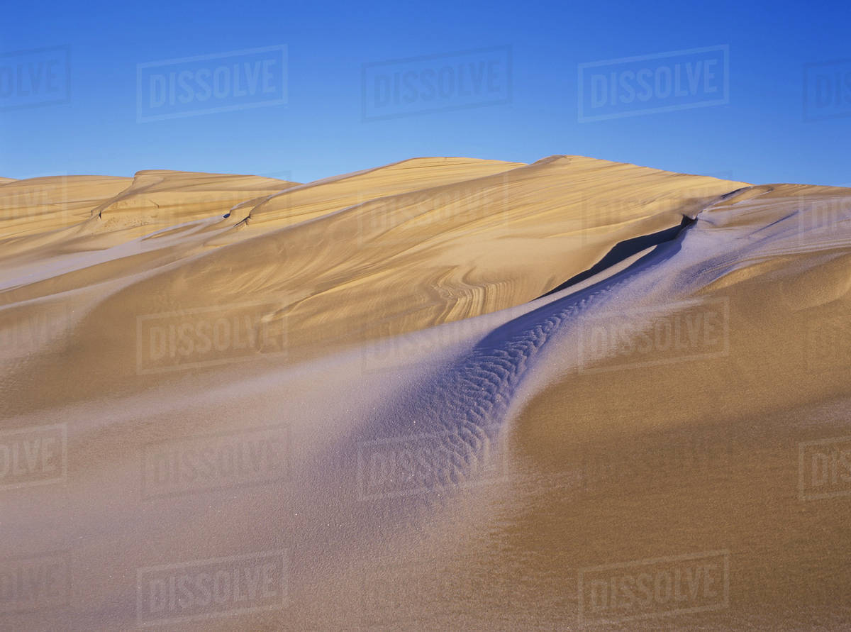 Frost accents the sand dunes in Oregon Dunes National Recreation Area