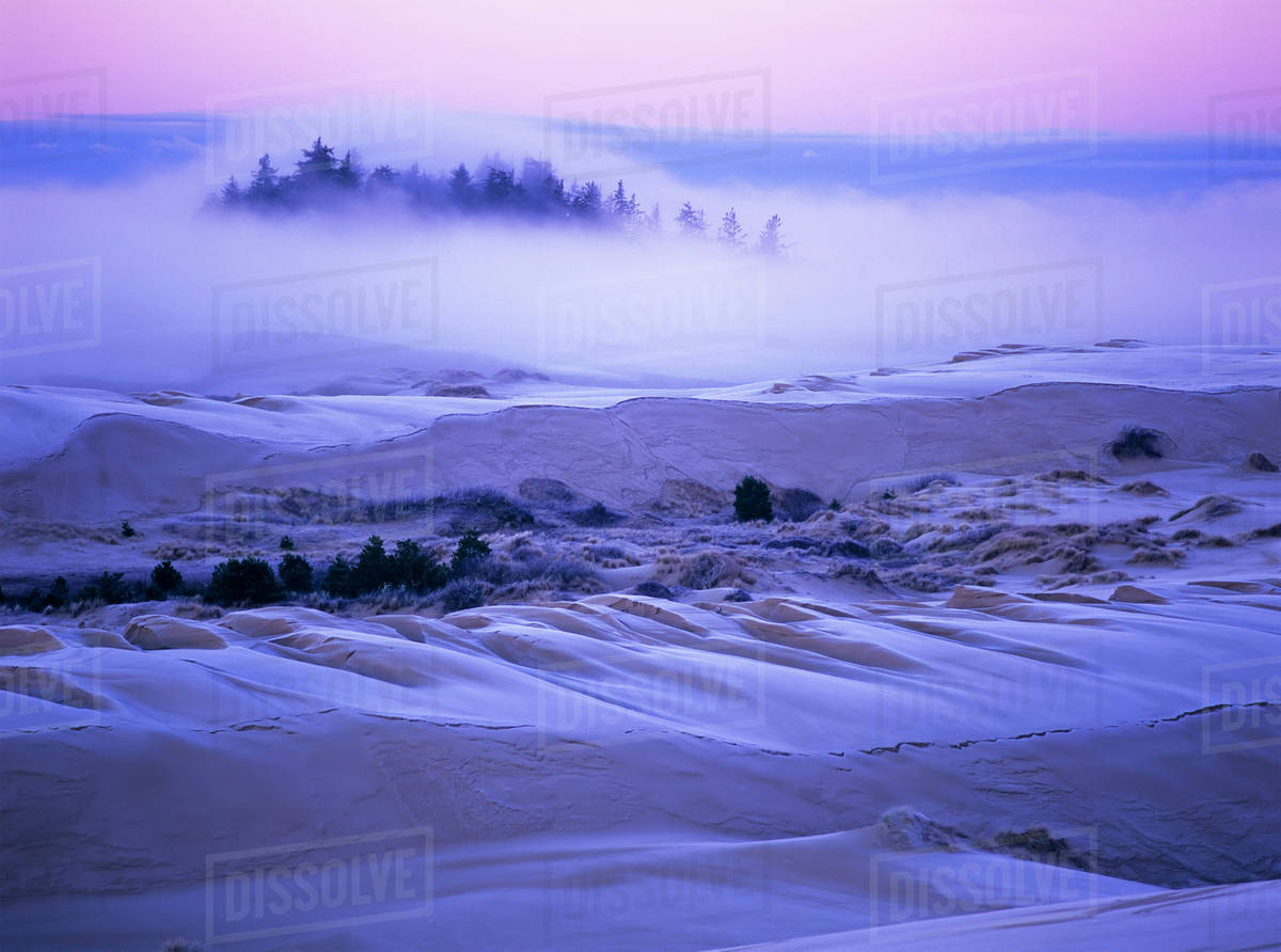Fog over the sand dunes at dawn after a heavy frost; Lakeside, Oregon