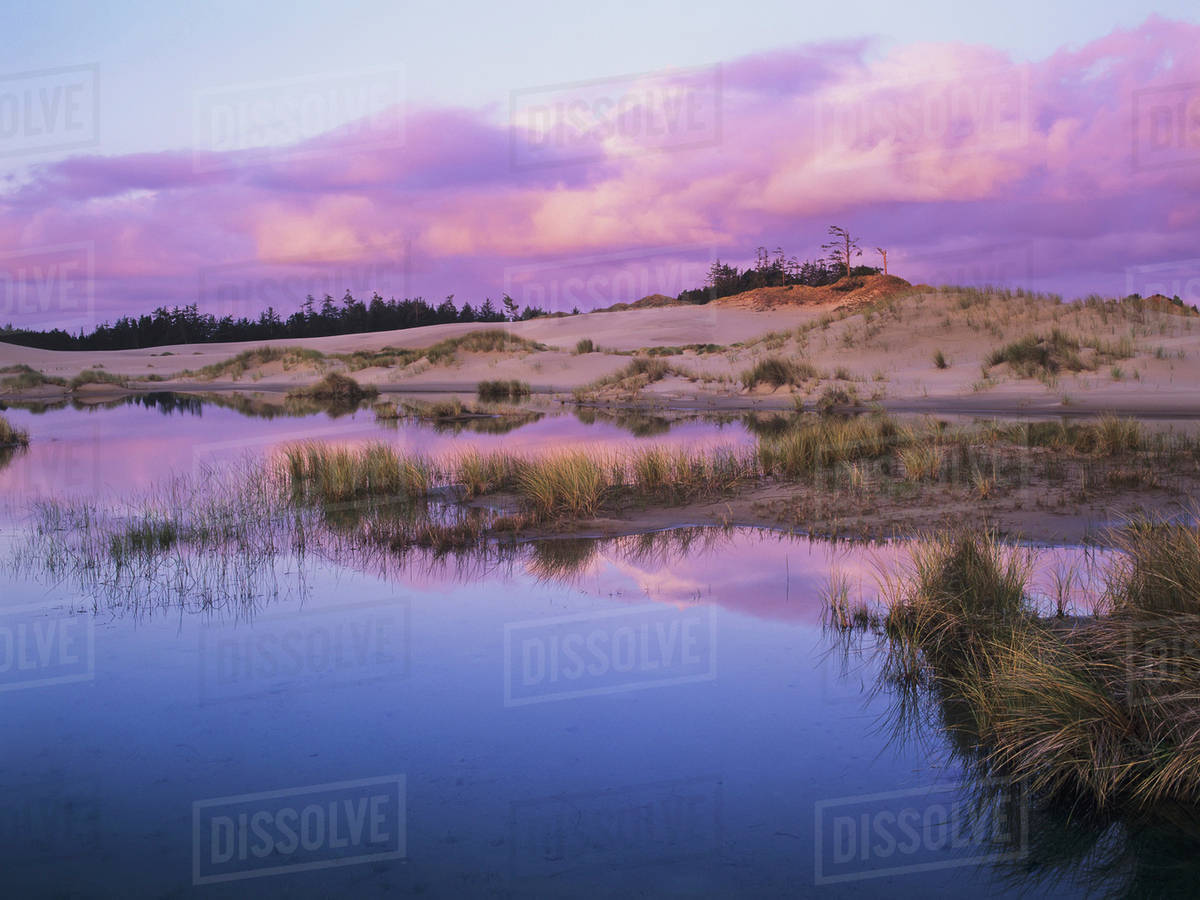 An ephemeral pool reflects the morning sky; Reedsport, Oregon, United