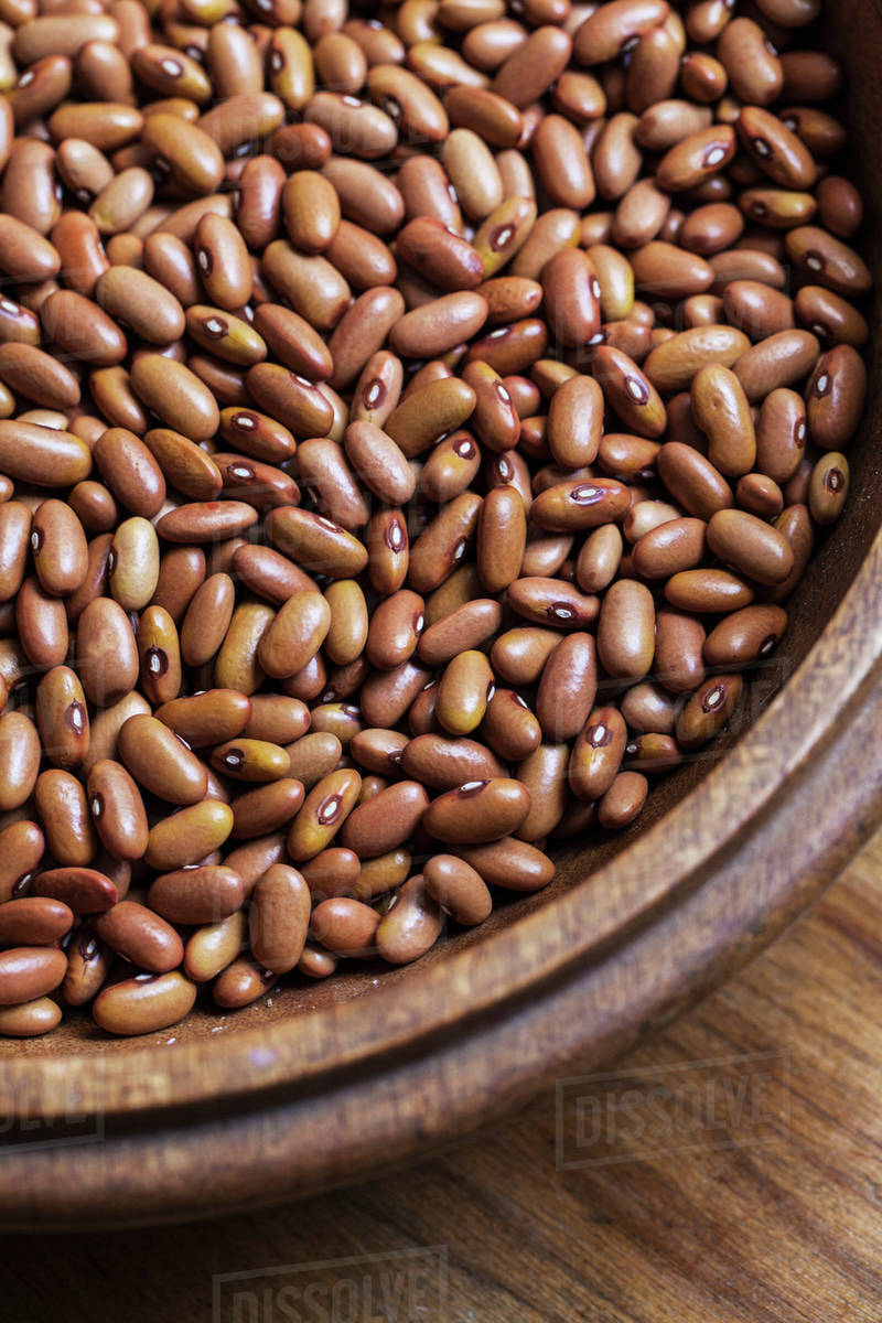 Dried, heirloom 'Arikara Yellow' beans; Toronto, Ontario, Canada