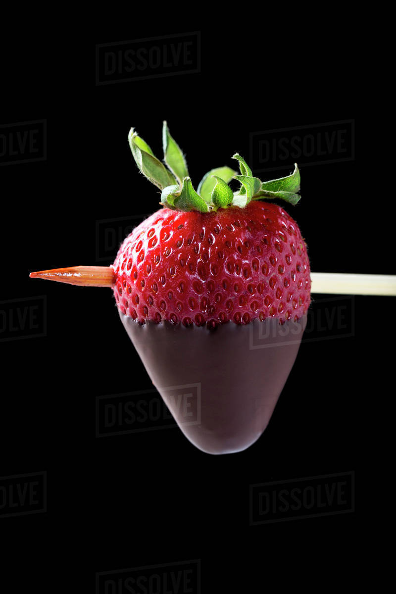 Close up of a half chocolate dipped strawberry on a wooden skewer on