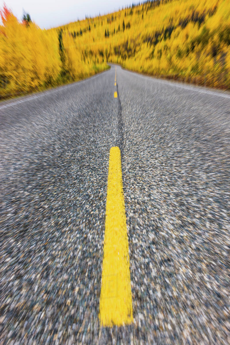 Road detail traveling the steese highway in autumn;Fairbanks alaska