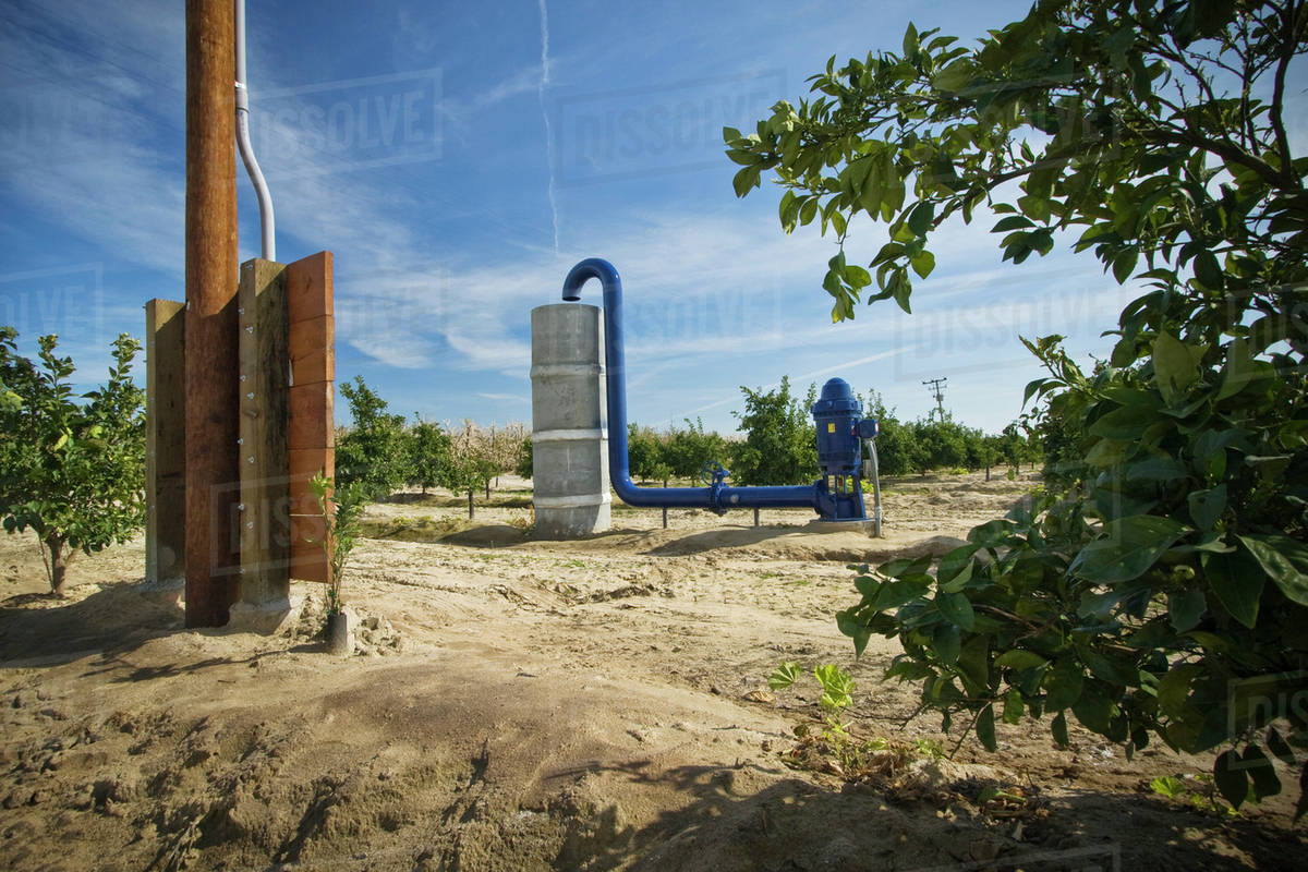 Agriculture Electric powered irrigation water pump and standpipe in