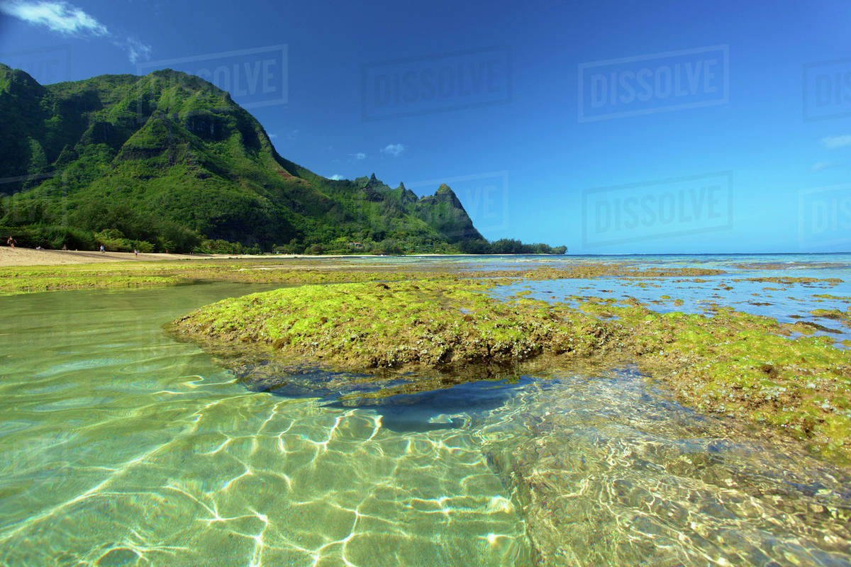 Coral and seaweed on Tunnels Beach at low tide; Kauai, Hawaii, United