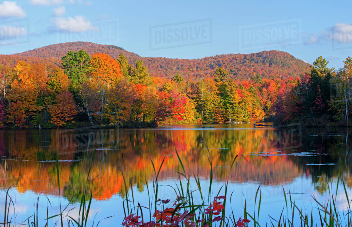 Reflection of autumn coloured trees in the water; West Bolton, Quebec