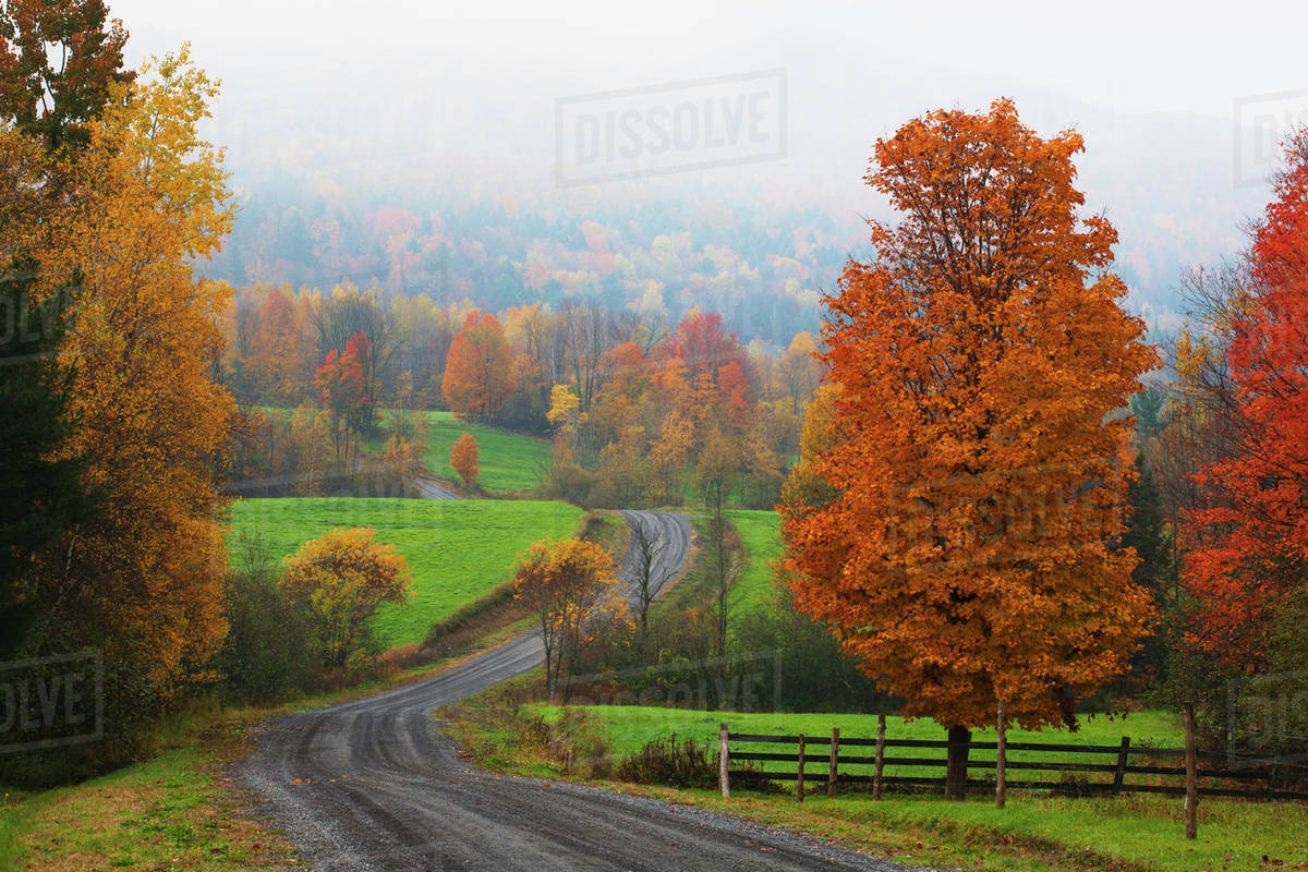 Dirt road in autumn with early morning fog; Iron Hill, Quebec, Canada