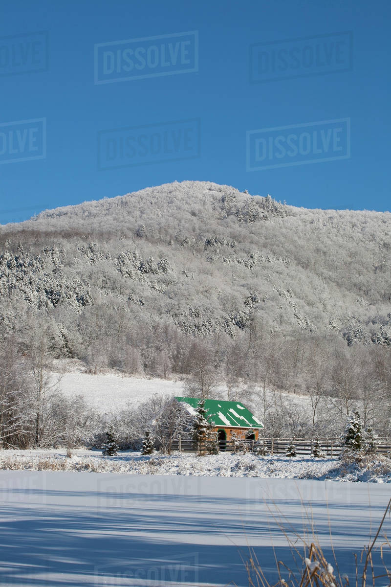 Snow Covered Trees On A Mountain And A Stable With A Green Roof; Iron