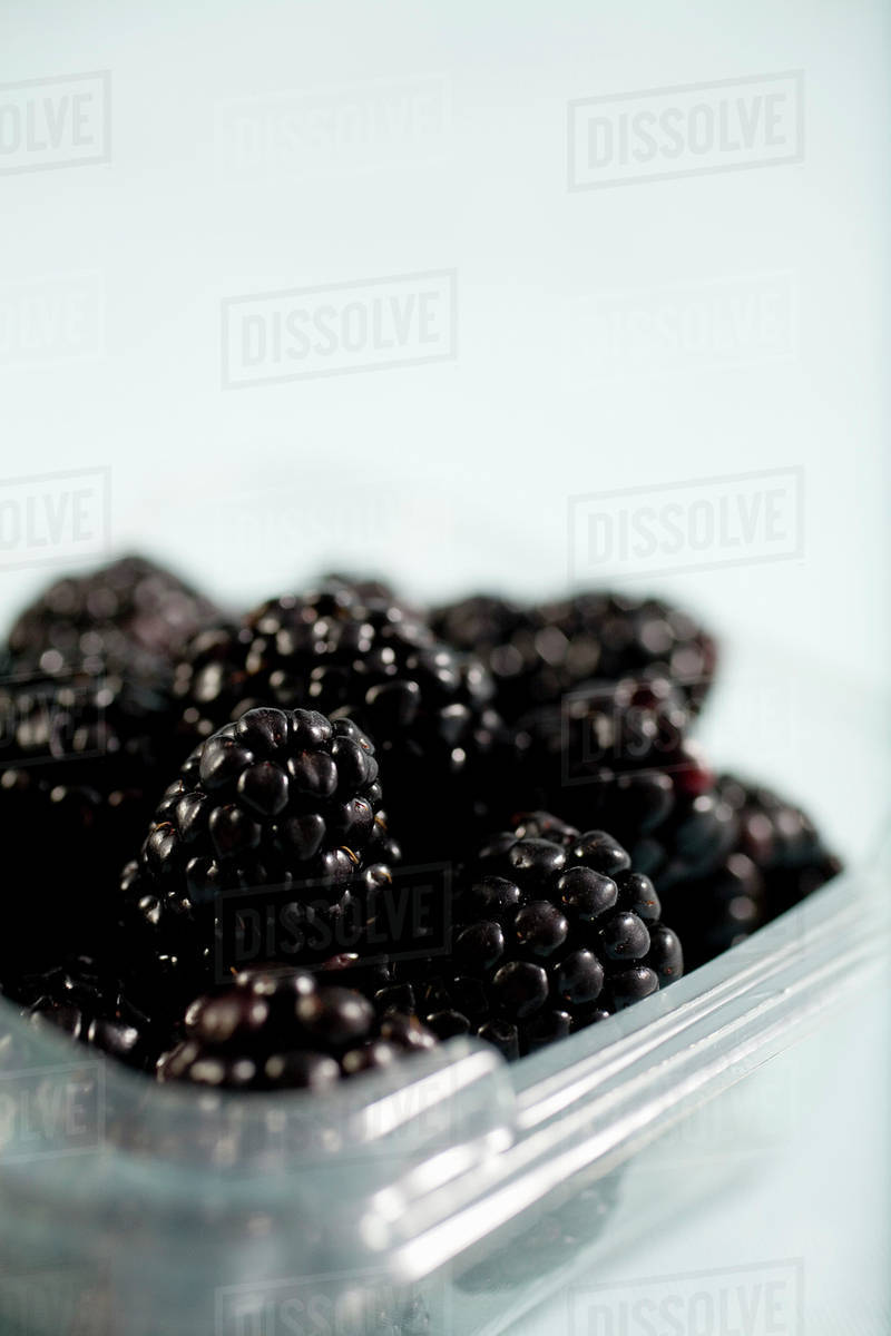 Container Of Blackberries Stock Photo Dissolve
