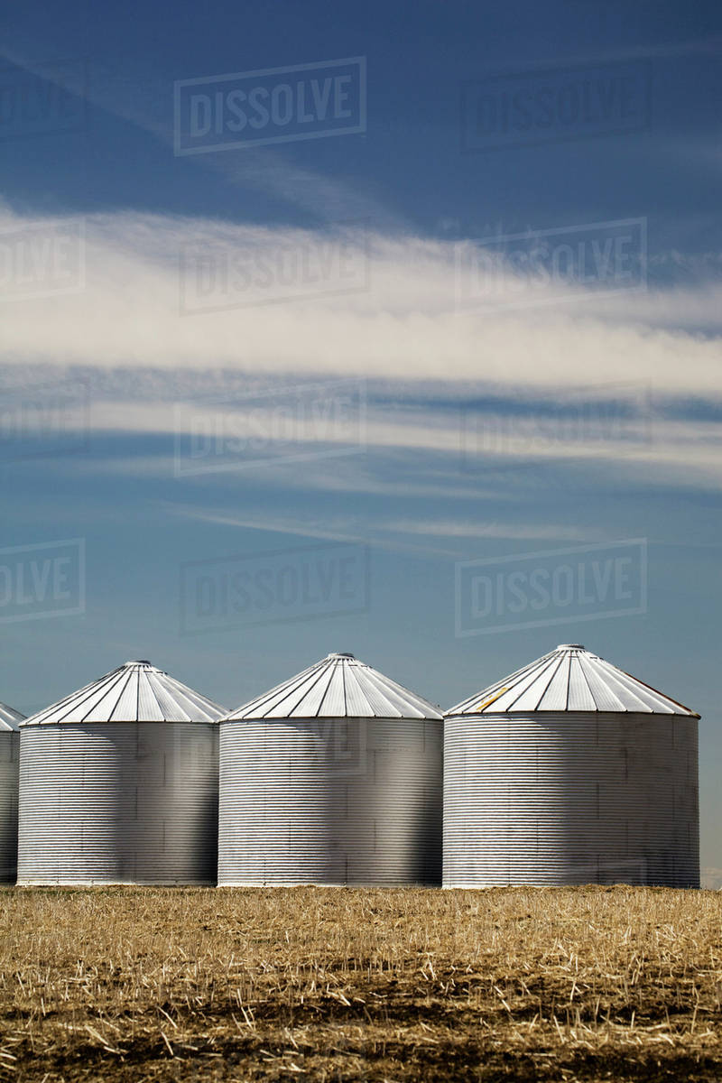 Three shiny metal grain bins in stubble field with blue sky and clouds
