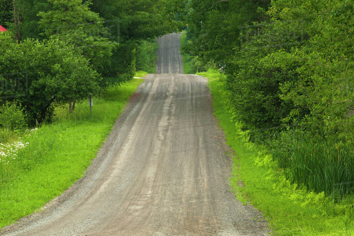 A Dirt Road With Lush Trees On Either Side; Fulford, Quebec, Canada