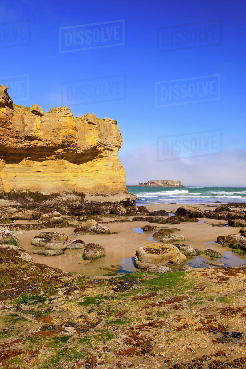 Low Tide And Rock Formations At Otter Beach Oregon United Low Tide And Rock Formations At Otter Beach Oregon United States Of America