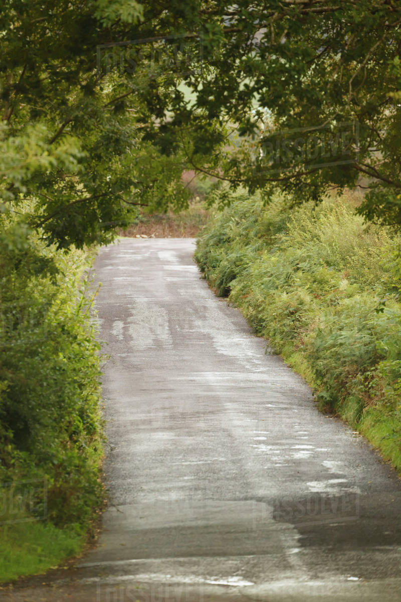A Country Road Near Dunmanway; County Cork, Ireland Stock Photo