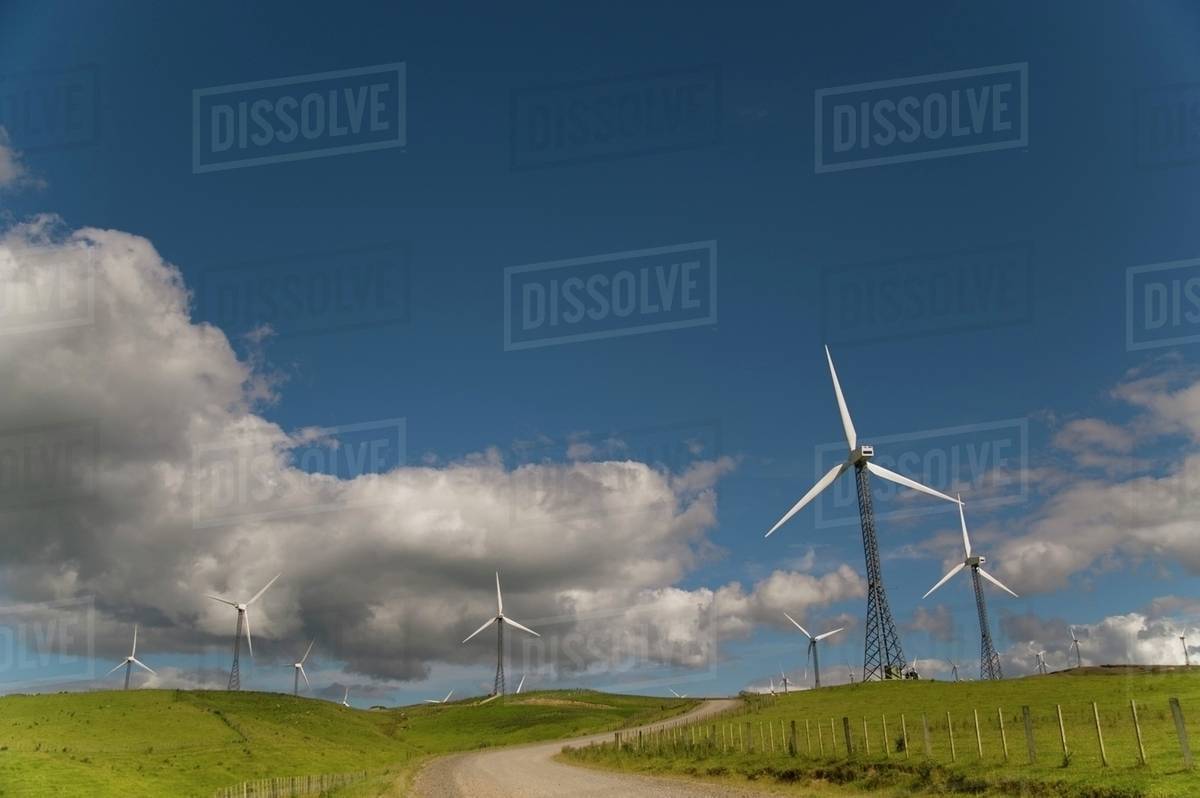 Wind Turbines In A Field With A Road Going Through; Palmerston North