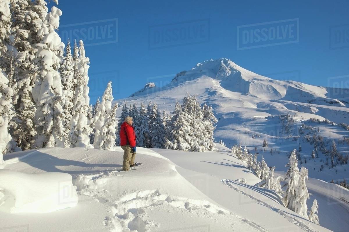 Timberline, Oregon, United States Of America; A Person Snowshoeing In Deep Snow On Mount Hood
