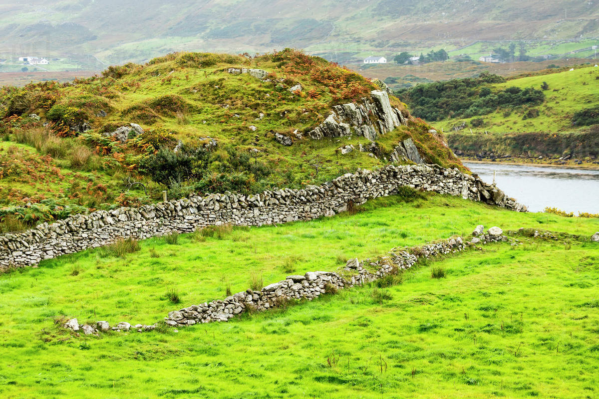 Rock fence in grassy hillside field; Clifden, County Galway, Ireland